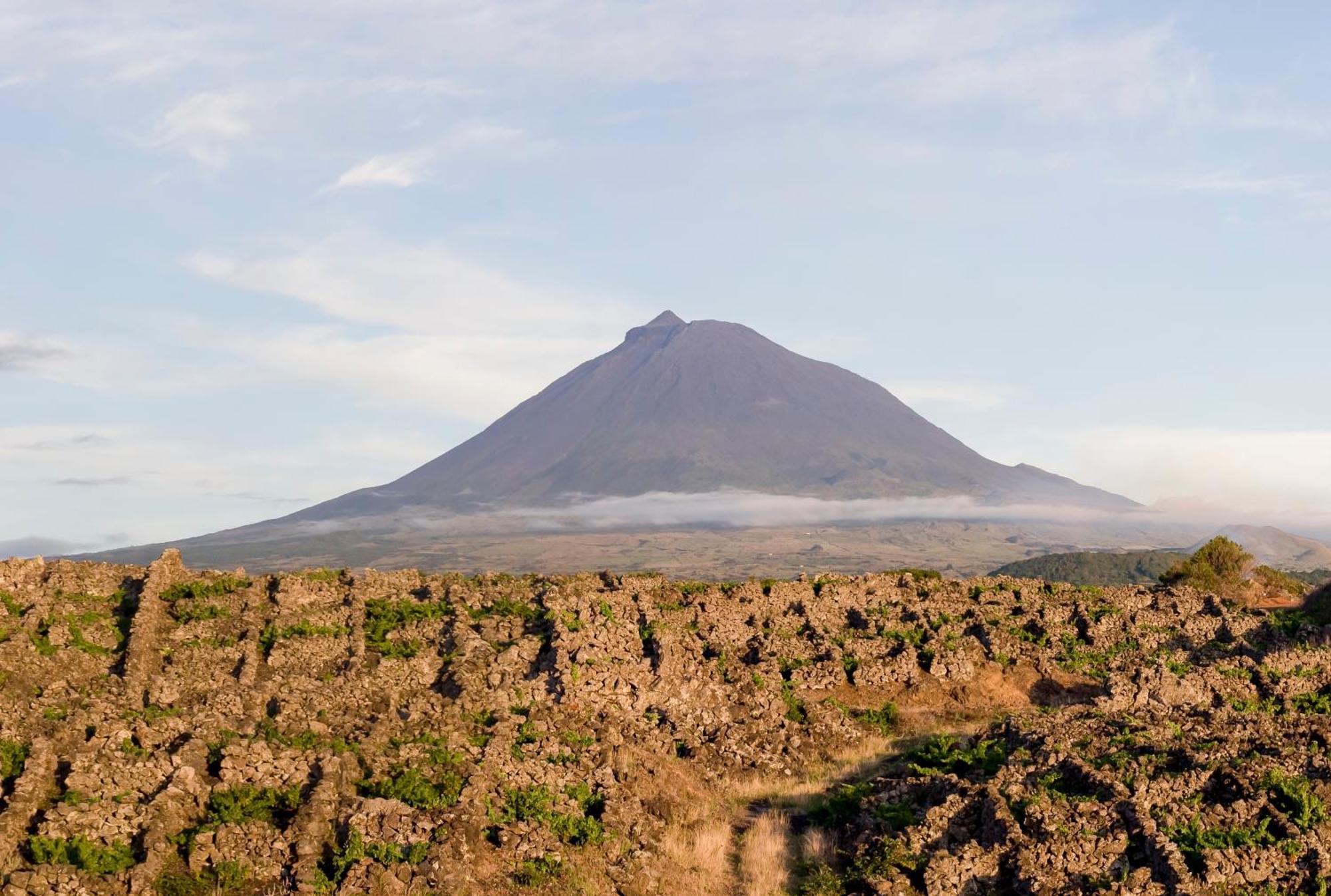 Casas Das Portas Do Mar E Das Portas Do Sol São Roque do Pico Екстериор снимка